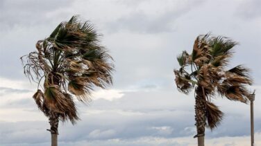 Barceló cree que "todavía es pronto" para suavizar las restricciones en la Comunidad Valenciana