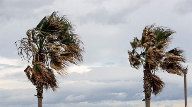 Playa de Malvarrosa, Valencia.