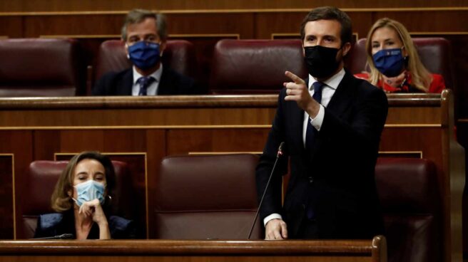 El líder del PP, Pablo Casado, durante su intervención en la sesión de control al Ejecutivo este miércoles en el Congreso.