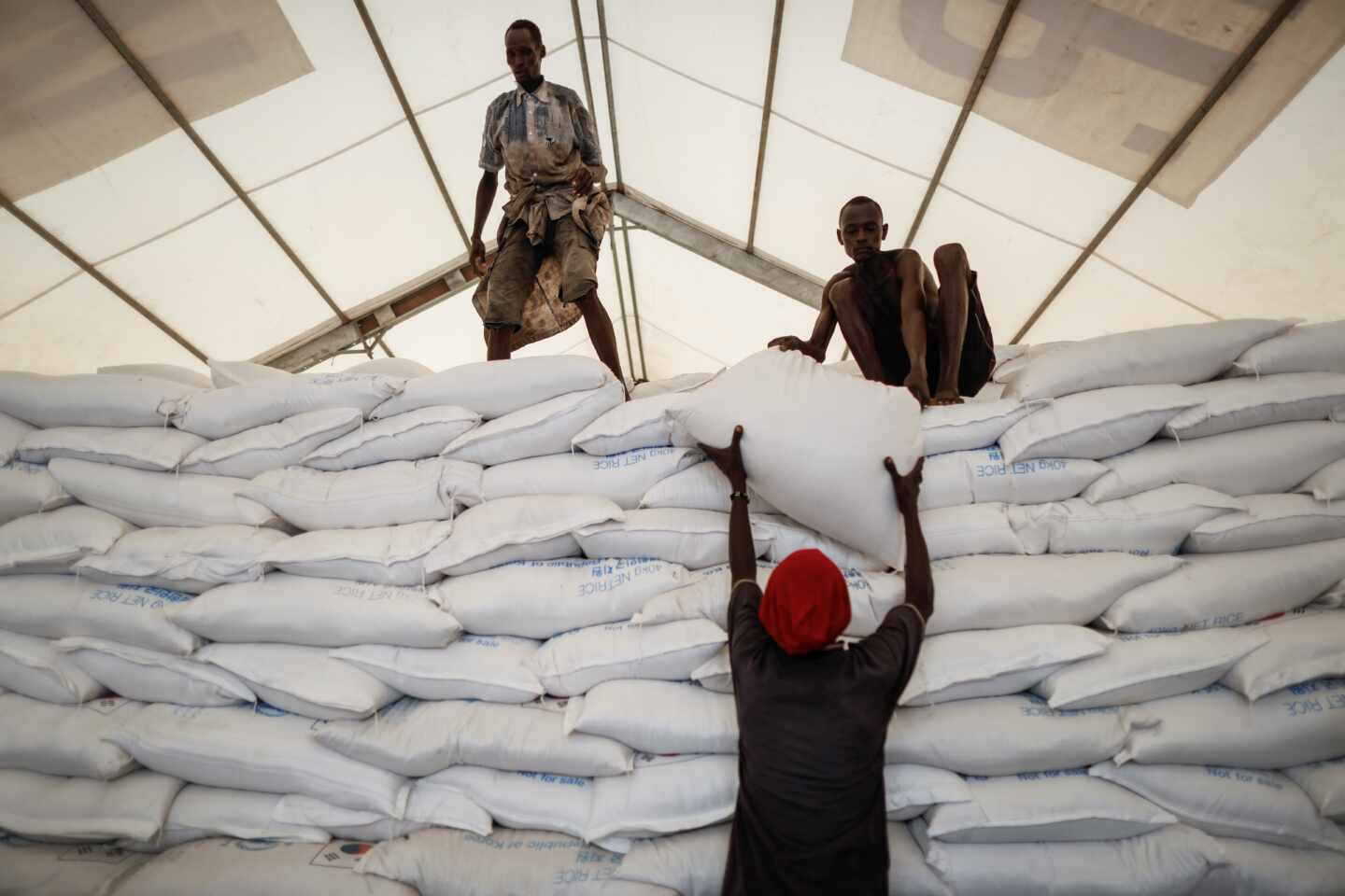 Trabajadores locales de Turkana (Kenia) llevan bolsas de arroz donadas por el Programa Mundial de Alimentos de las Naciones Unidas (PMA).