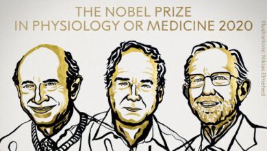 Los descubridores del virus de la hepatitis C, Premio Nobel de Medicina 2020
