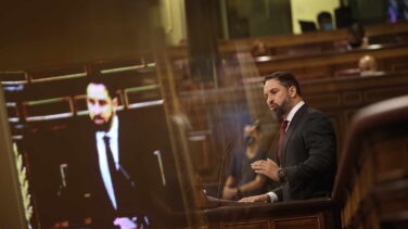 Vox: la matraca y el delirio