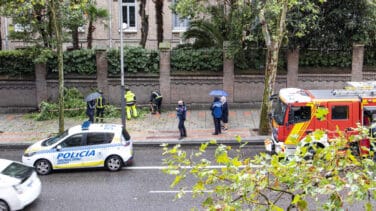 Ramas caídas y 93 litros por metro cuadrado: la borrasca 'Alex' llega a España