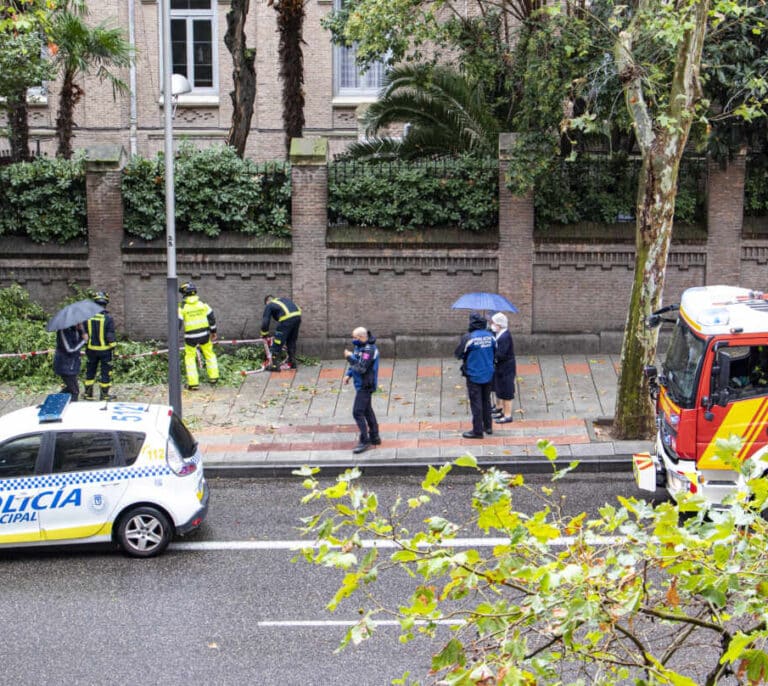 Ramas caídas y 93 litros por metro cuadrado: la borrasca 'Alex' llega a España