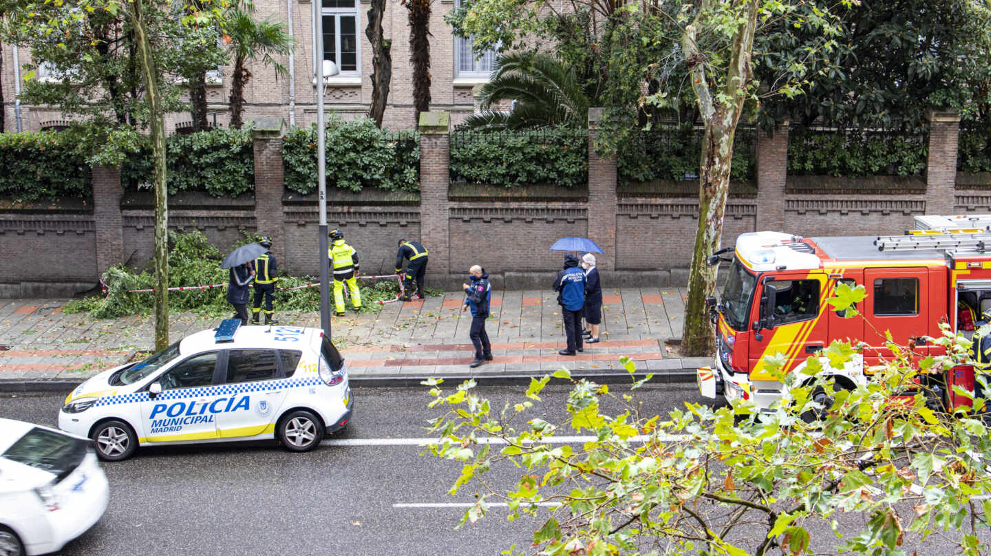 Los bomberos retiran una rama caída por el viento en el Paseo General Martínez Campos de Madrid