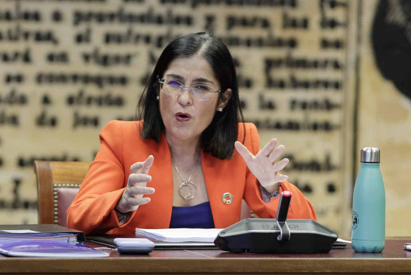 La ministra de Política Territorial y Función Pública, Carolina Darias, en el Senado.