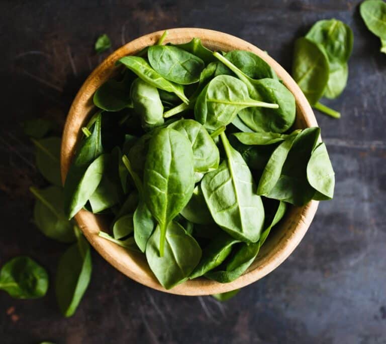 Sanidad actualiza su recomendación sobre consumo infantil de acelgas, espinacas y borrajas