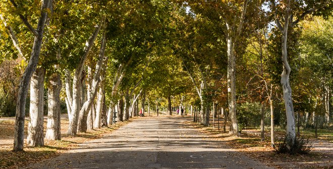 madrid-casa-campo-660x335