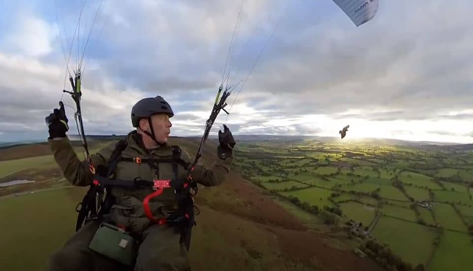 Vuelo en parapente con su mascota, un halcón