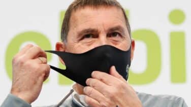 Otegi: "No tenemos ningún interés en que decaiga el Gobierno"
