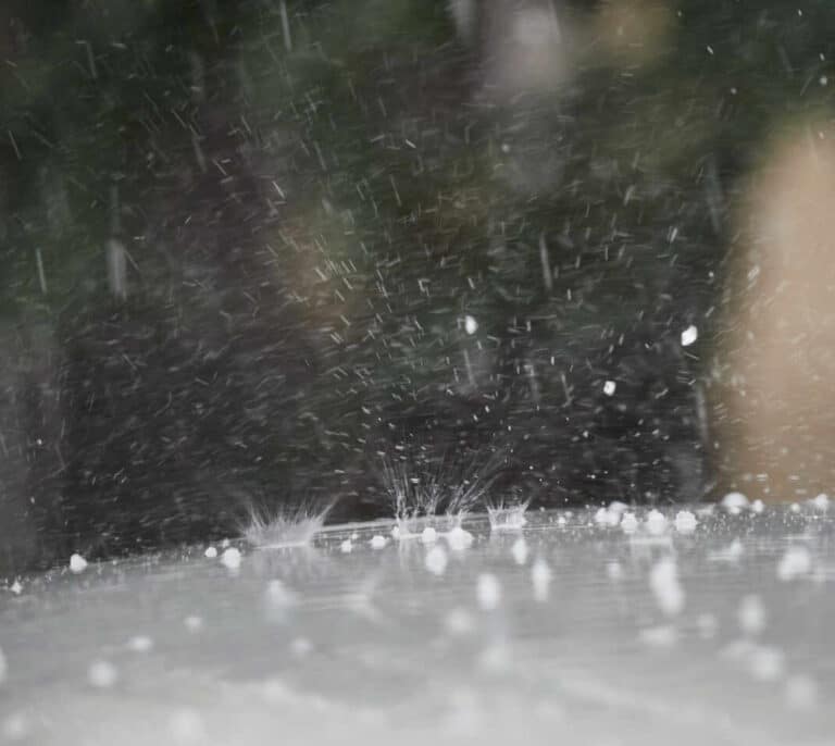 Una granizada en Barcelona interrumpe la fiesta de Sant Jordi en las calles