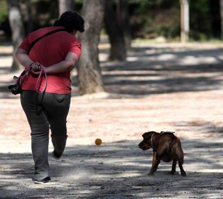 Sancionada una mujer por salir a pasear al perro de madrugada y sin mascarilla
