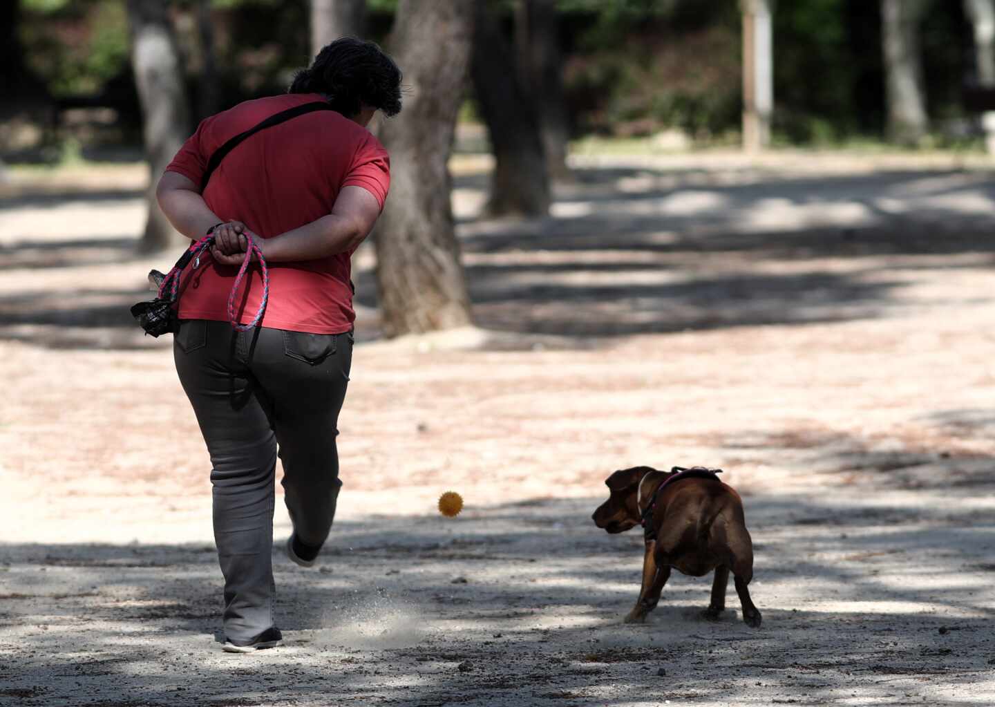 Mujer paseando un perro.