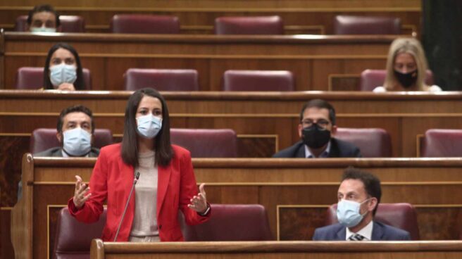 Inés Arrimadas y su grupo de Ciudadanos en el Congreso de los Diputados.