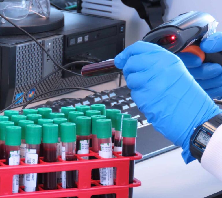 Un adenovirus de chimpancé: cómo funciona la vacuna de Oxford y en qué se diferencia de Moderna y Pfizer