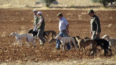 El Supremo establece que la caza en tiempo de veda es delito al poner en peligro la biodiversidad