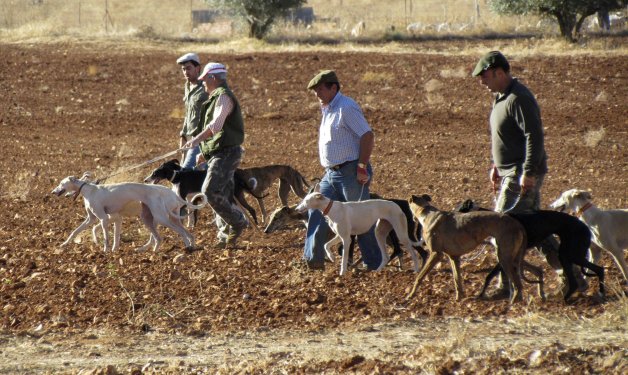 El Supremo establece que la caza en tiempo de veda es delito al poner en peligro la biodiversidad