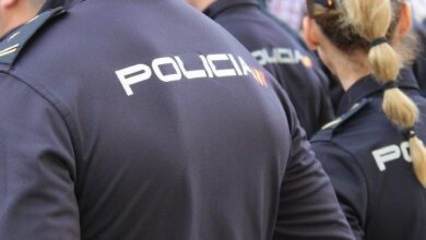 La Policía Nacional detiene a tres personas en Alicante por robar 1.600 kilos de naranjas