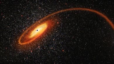 Brian Greene: “Nada es eterno: ni las galaxias, ni los planetas, ni la vida”