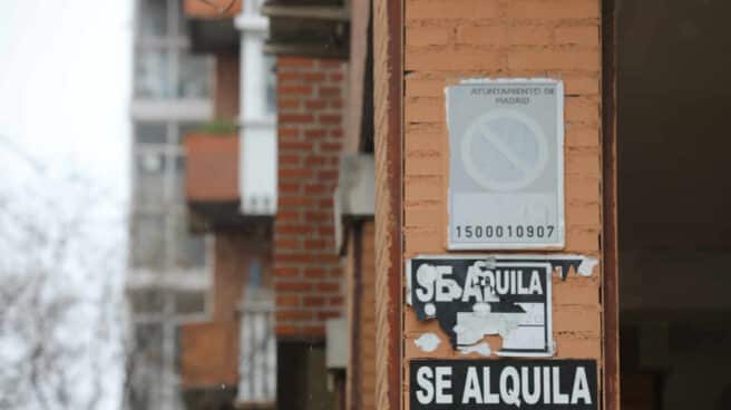 Varios carteles de 'Se Alquila' en la pared de un edificio Varios carteles de 'Se Alquila' en la pared de un edificio
