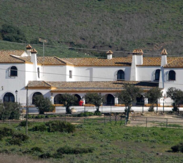 Se desvela qué había en el interior del camión de mudanzas que salió de Cantora