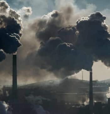 De París a Brasil, la década que debía reducir el consumo de [...]