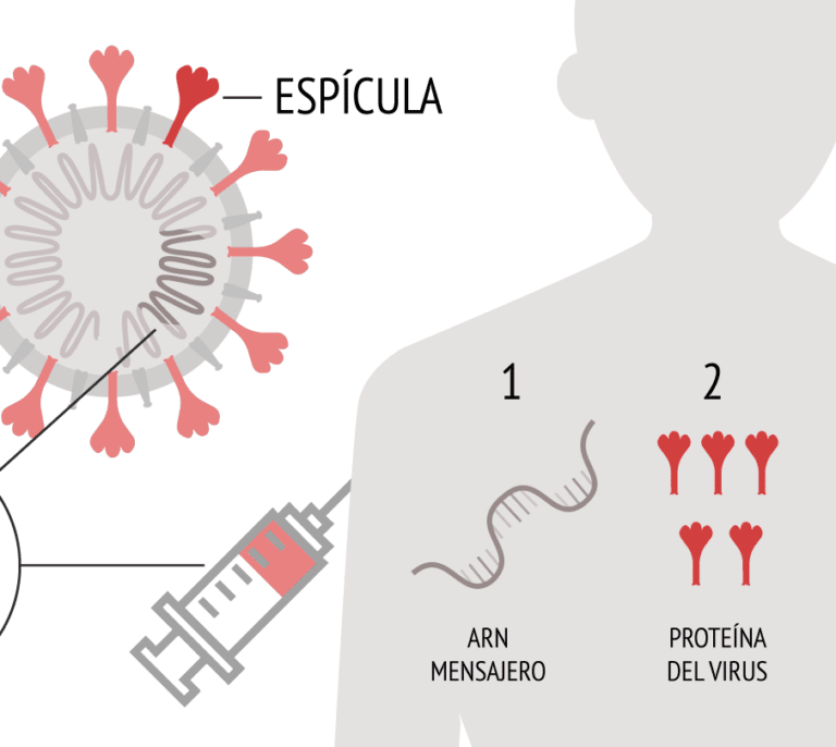 ¿Cómo funciona la vacuna de Pfizer contra el coronavirus?