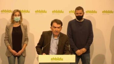 Bildu lleva al Constitucional el 'caso Bateragune': "Era la pieza del puzle que les faltaba"