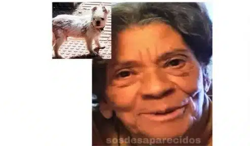 Hallan el cadáver de un anciana desaparecida en mayo en Móstoles, iba acompañada de su perro