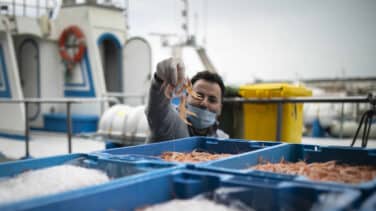 La flota pesquera permanecerá amarrada hasta el miércoles: "El sector se va a pique"