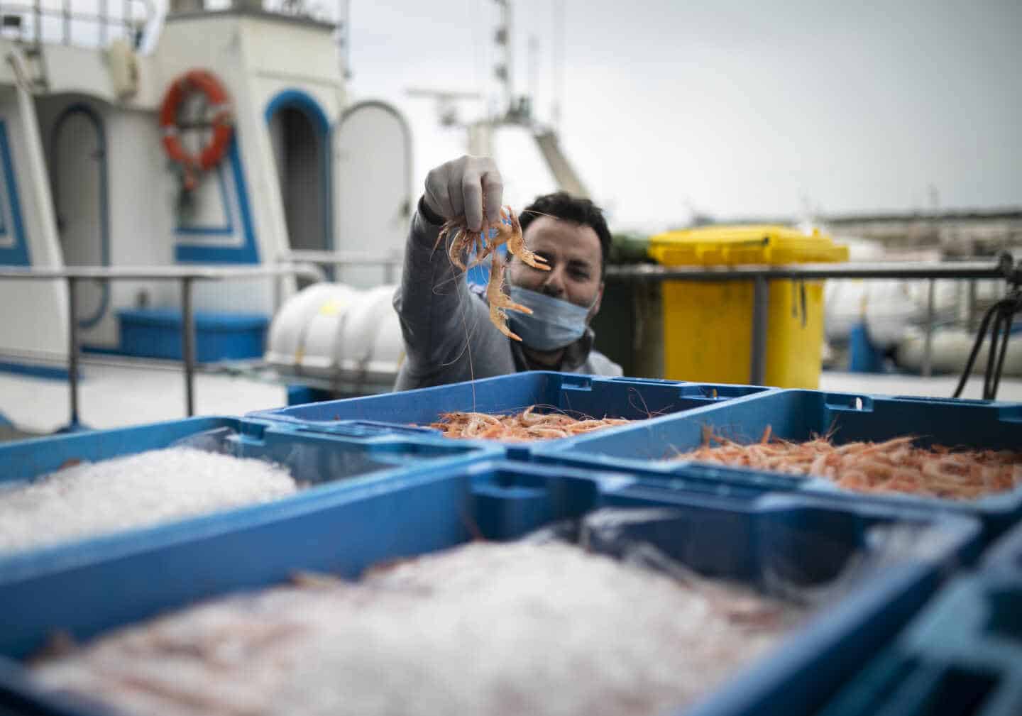 Un pescador con mascarilla enseña el género a la cámara