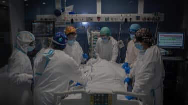 Sanidad notifica 442 muertos y  8.257 nuevos contagios en las últimas 24 horas