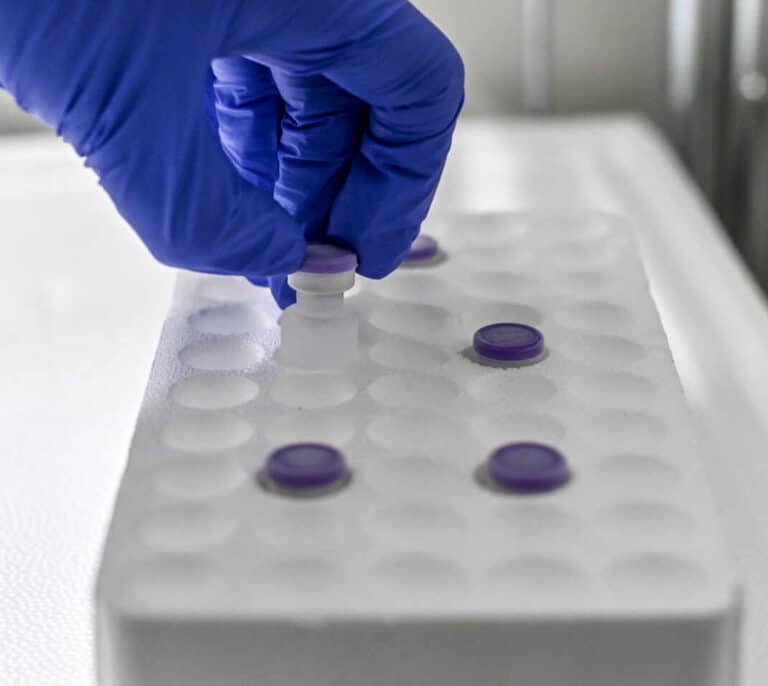 Encuentran una nueva variante de Covid en Reino Unido proveniente de Sudáfrica