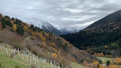 Un terremoto de 3,6 grados sacude el Pirineo leridano sin causar daños