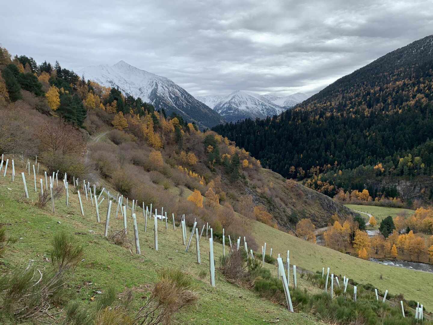 Un terremoto de 3,6 grados sacude el Pirineo leridano sin causar daños