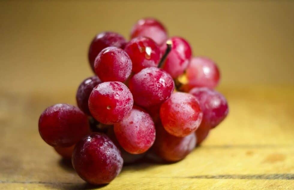 Los cinco rituales de la buena suerte que no puedes olvidar para la última noche del año comerse las doce uvas