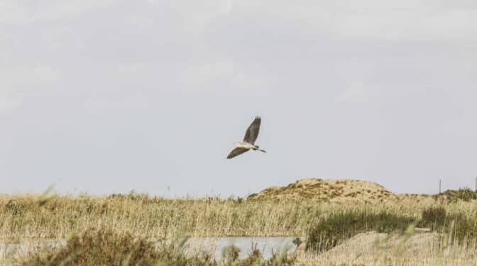El agua es clave para el futuro y este es el plan de Coca-Cola para cuidarla 