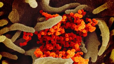 Reino Unido detecta una "nueva variante" del coronavirus asociada a una propagación más rápida