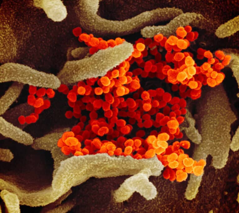 Reino Unido detecta una "nueva variante" del coronavirus asociada a una propagación más rápida