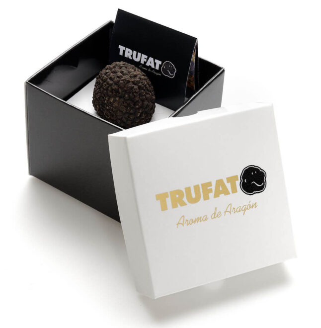 trufa-negra-precio-1024x1047