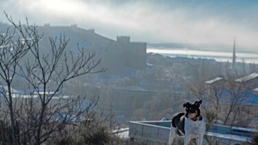 El tiempo en España: 11 comunidades, en aviso por lluvia, viento, mínimas y nieve