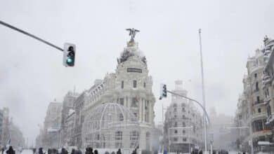 Recomendaciones del Ayuntamiento de Madrid: mejor no usar los ascensores y guardar agua