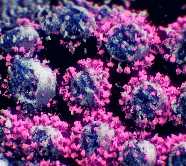 Así es el Sars-CoV-2: la primera imagen real del coronavirus