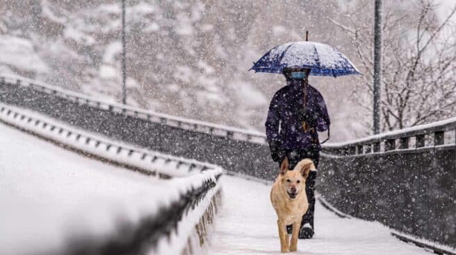 Un viandante pasea a su perro durante el temporal 'Filomena'.