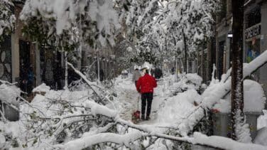 Ayuso pide a los ciudadanos que ayuden a quitar la nieve