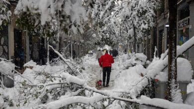 Ayuso pide a los ciudadanos que ayuden a quitar la nieve