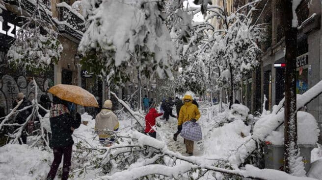 Árboles y parte de la iluminación navideña no han sobrevivido a la nieve en la calle Fuencarral en Madrid