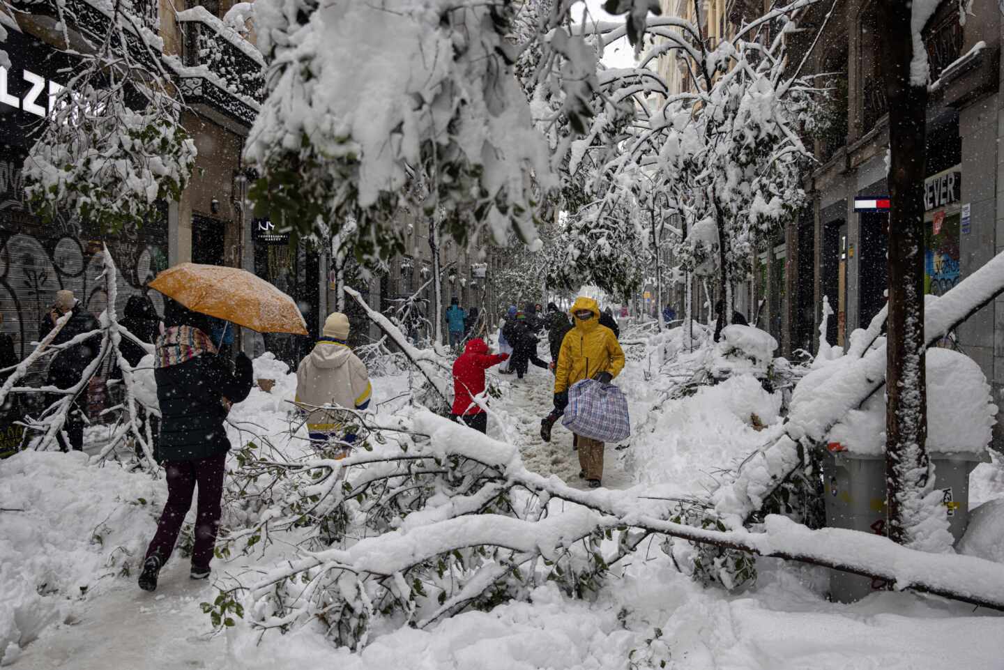 Árboles y parte de la iluminación navideña no han sobrevivido a la nieve en la calle Fuencarral en Madrid