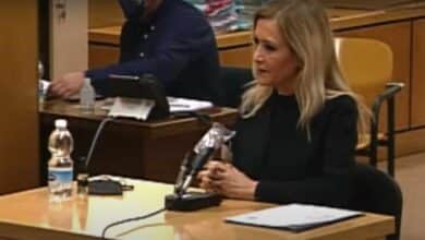 Cifuentes: "No defendí el trabajo, expliqué las líneas generales en un acto muy informal"