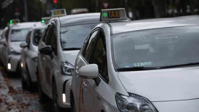 Varios taxis a la espera de clientes, guardan turno en una parada.